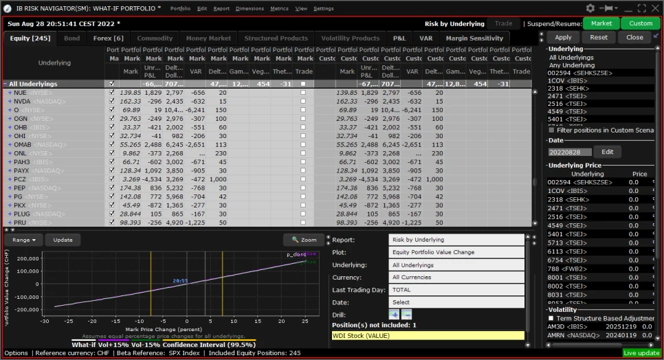 Interactive brokers risk navigator (what if analyse)
