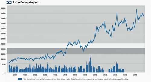 AXON: Fibunacci Level Technical Analysis - Axon Enterprise Inc