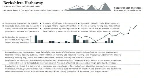 BRK B: Fundamental Ratio Analysis - Berkshire Hathaway Inc