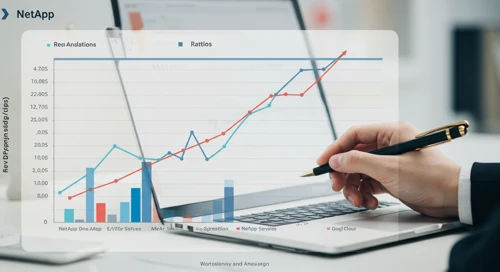 NTAP: Fundamental Ratio Analysis - NetApp Inc