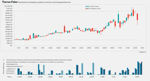 TMO: Fundamental Ratio Analysis - Thermo Fisher Scientific Inc