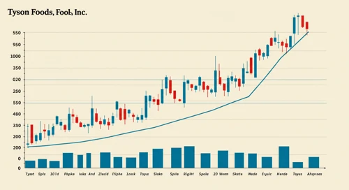 TSN: Trend with Support and Resistance Levels - Tyson Foods Inc